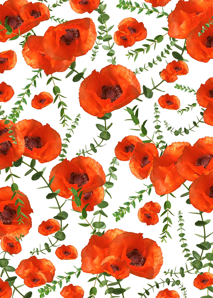 Red Poppies Eucalyptus 1