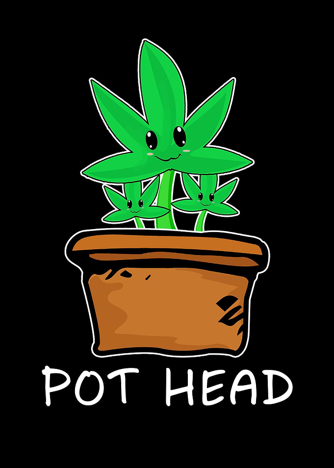 Pot head