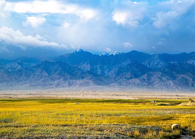 Blue Mountain Landscape