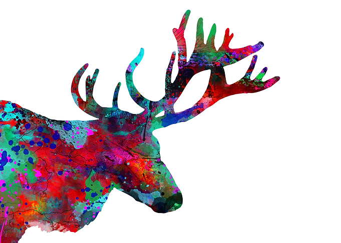 Deer