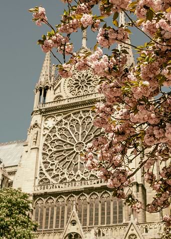 Notre Dame Spring