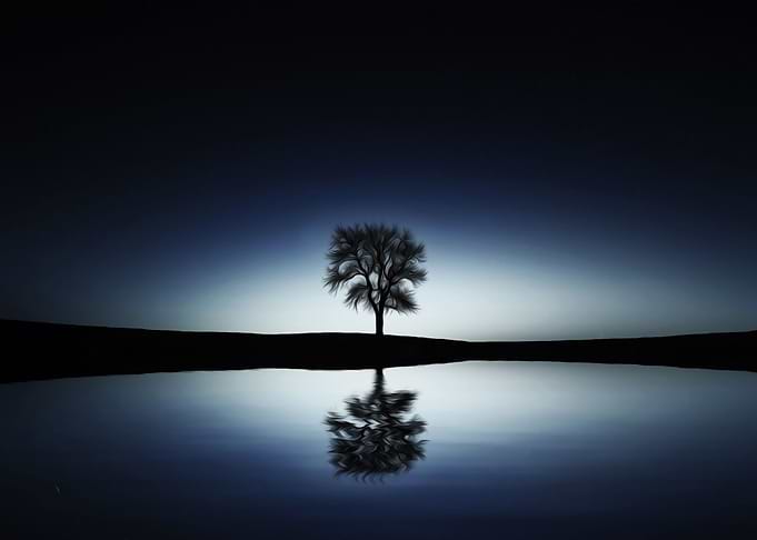 Lone Tree