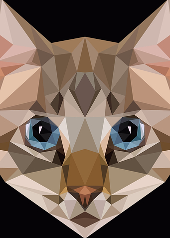Cat Lowpoly