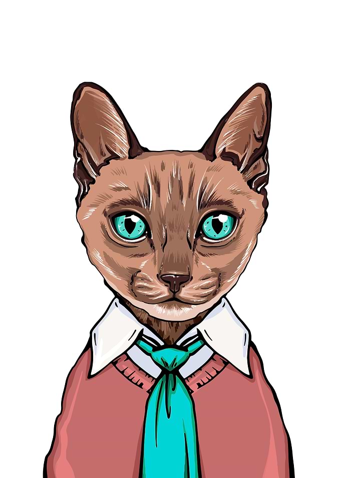 Siamese cat student art
