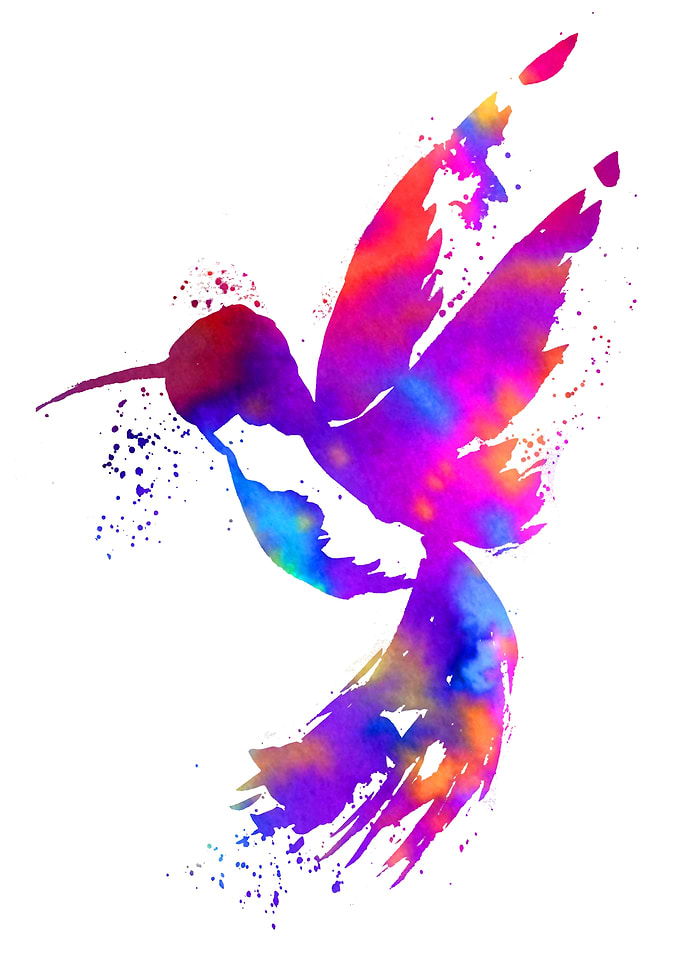 Rainbow Hummingbird