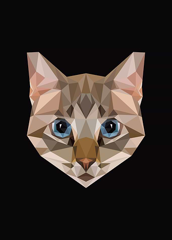Cat Lowpoly