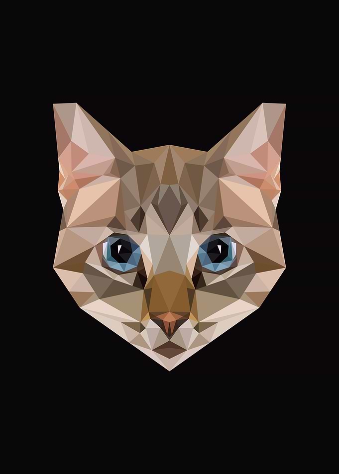 Cat Lowpoly