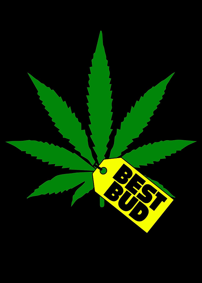 Stoner Stoner Gift Stoner