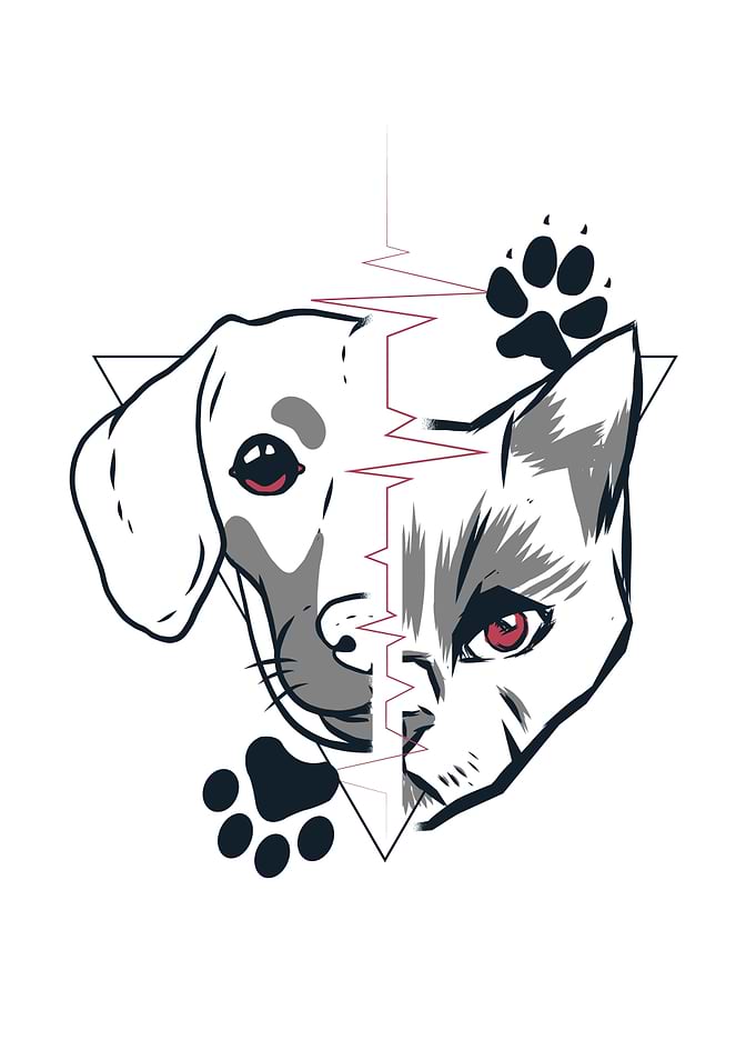 Dog And Cat
