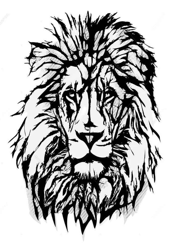 lion