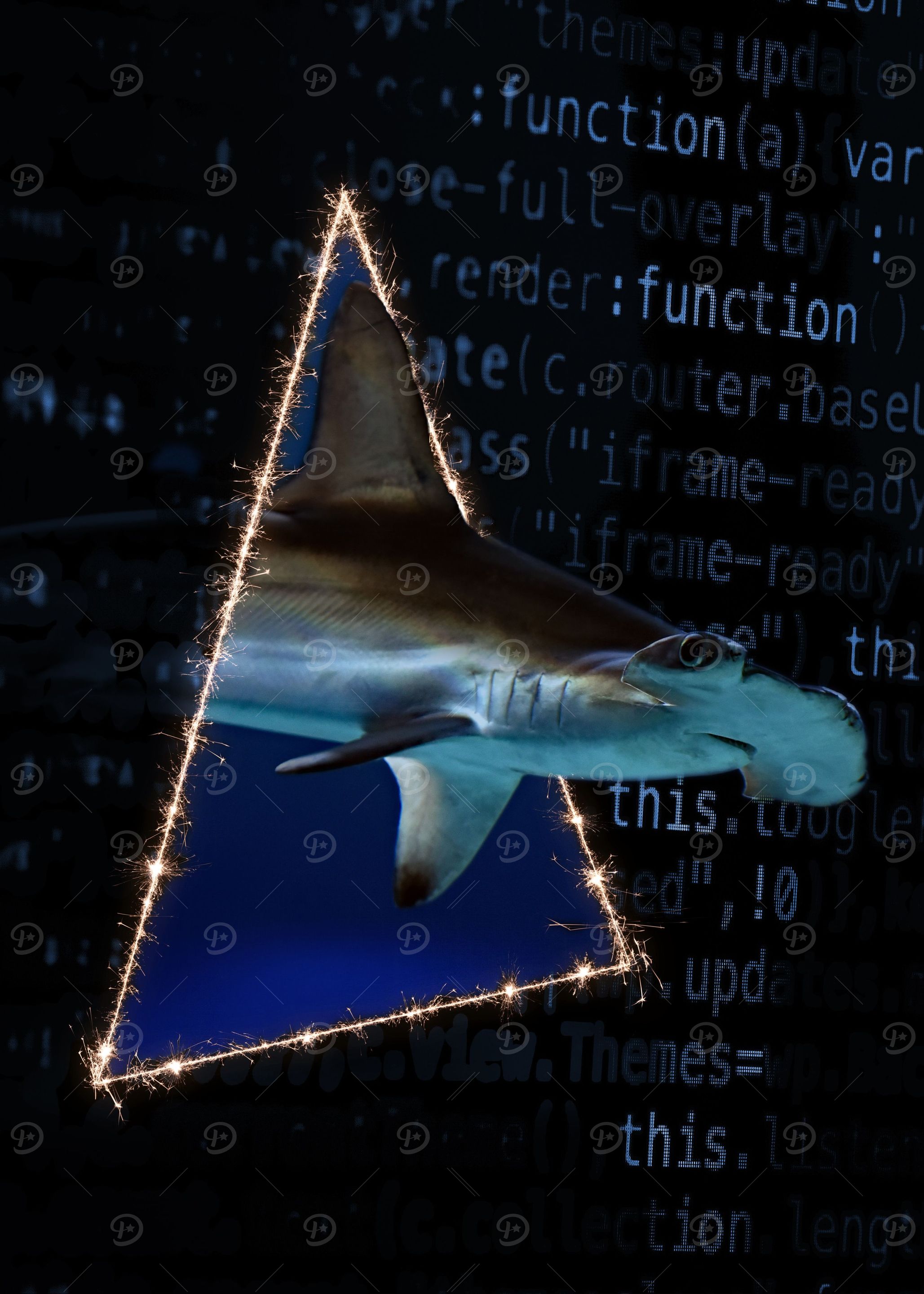 Hacker attack