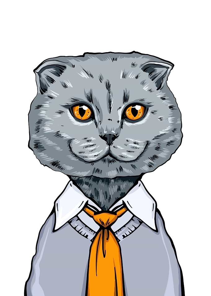 portrait of a british cat