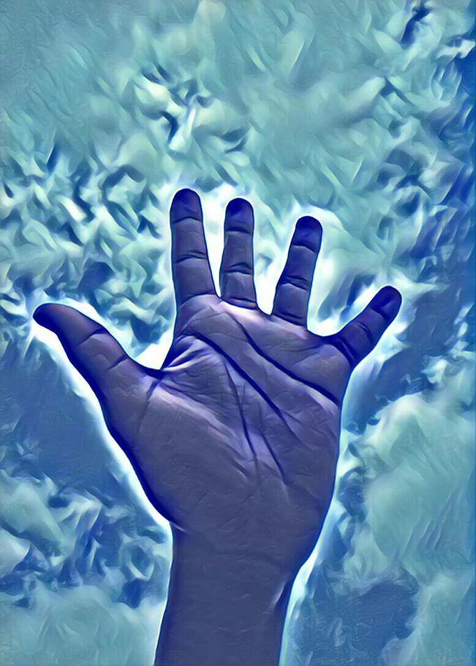 Palm I