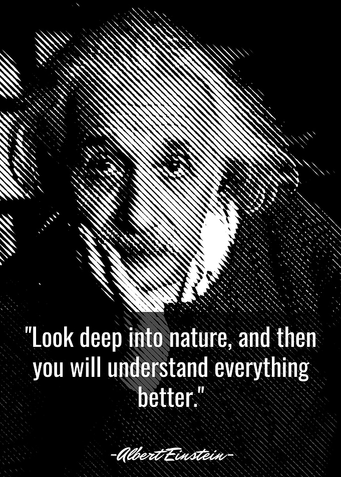Quotes Albert Einstein