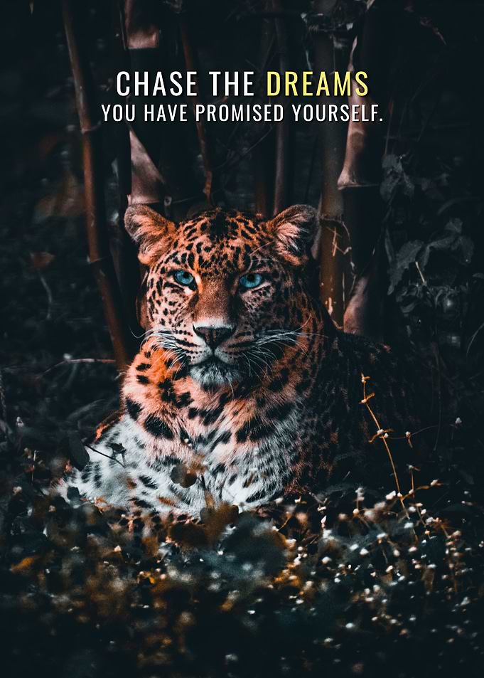 Chase the Dreams