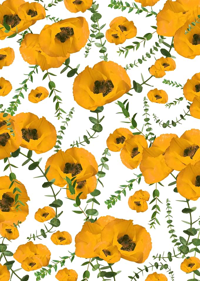 Yellow Poppies Eucalyptus
