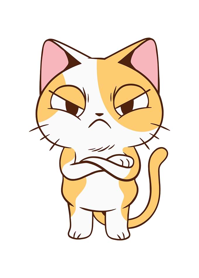 ANGRY KITTEN