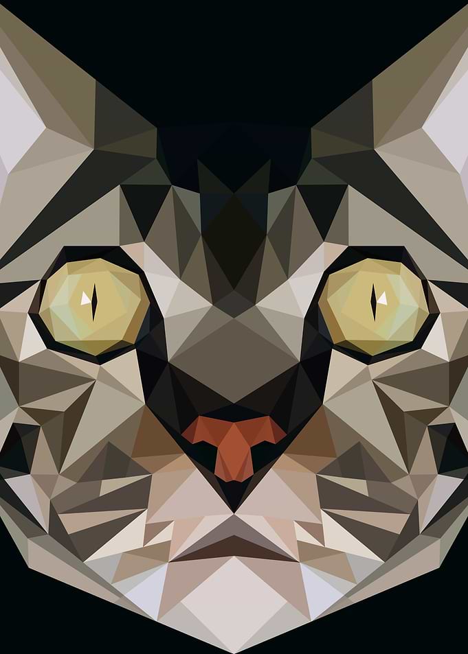 Cat in Lowpoly