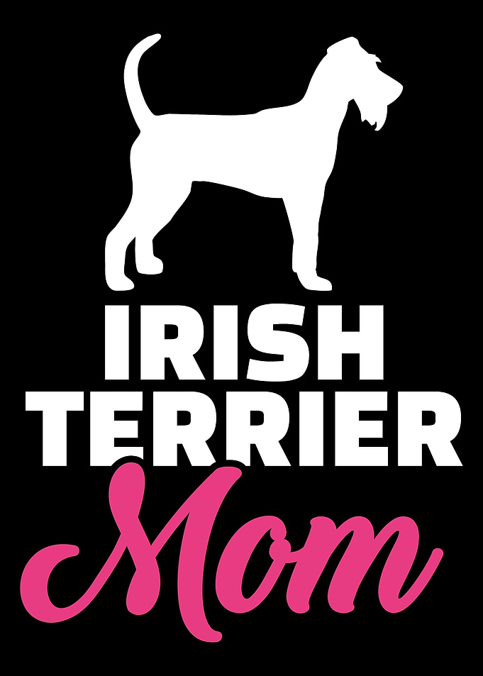 Irish Terrier