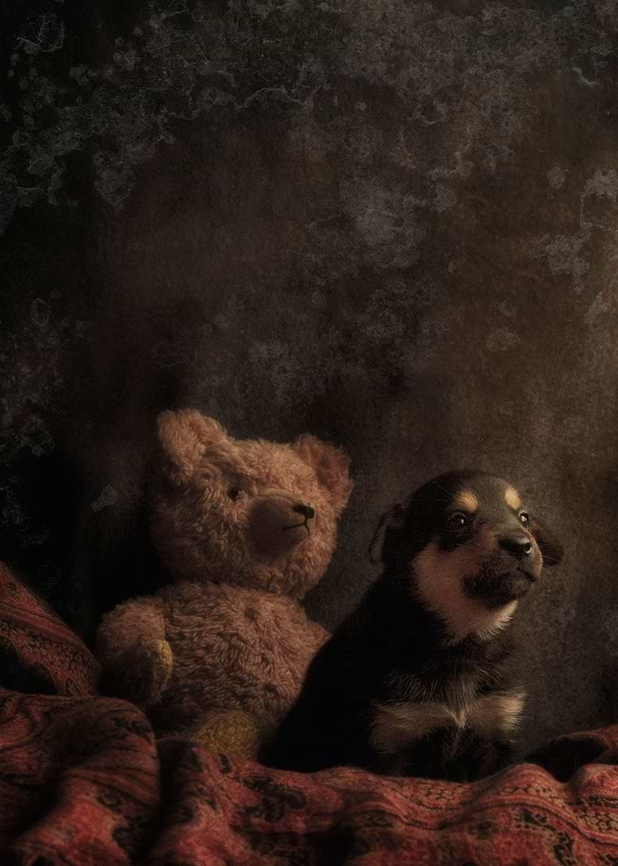Puppy and Teddy
