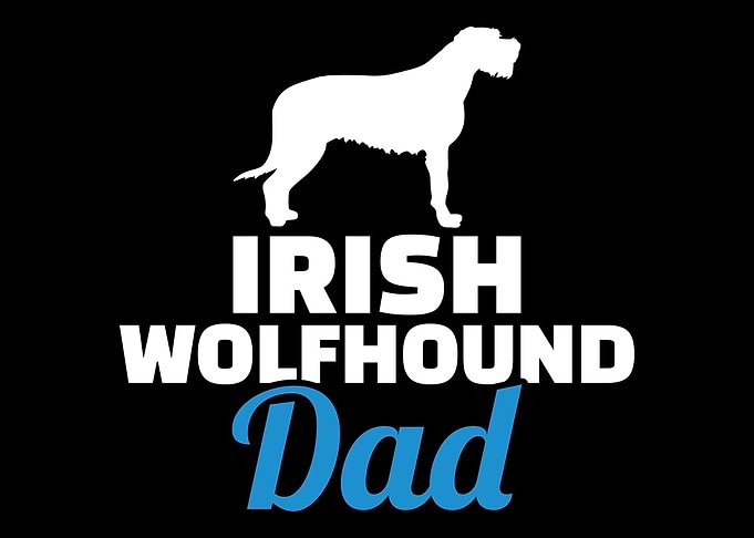 Irish Wolfhound