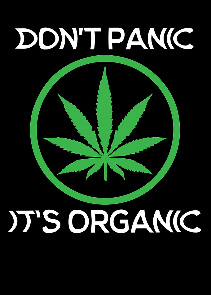 Stoner Gift Dont Panic Is