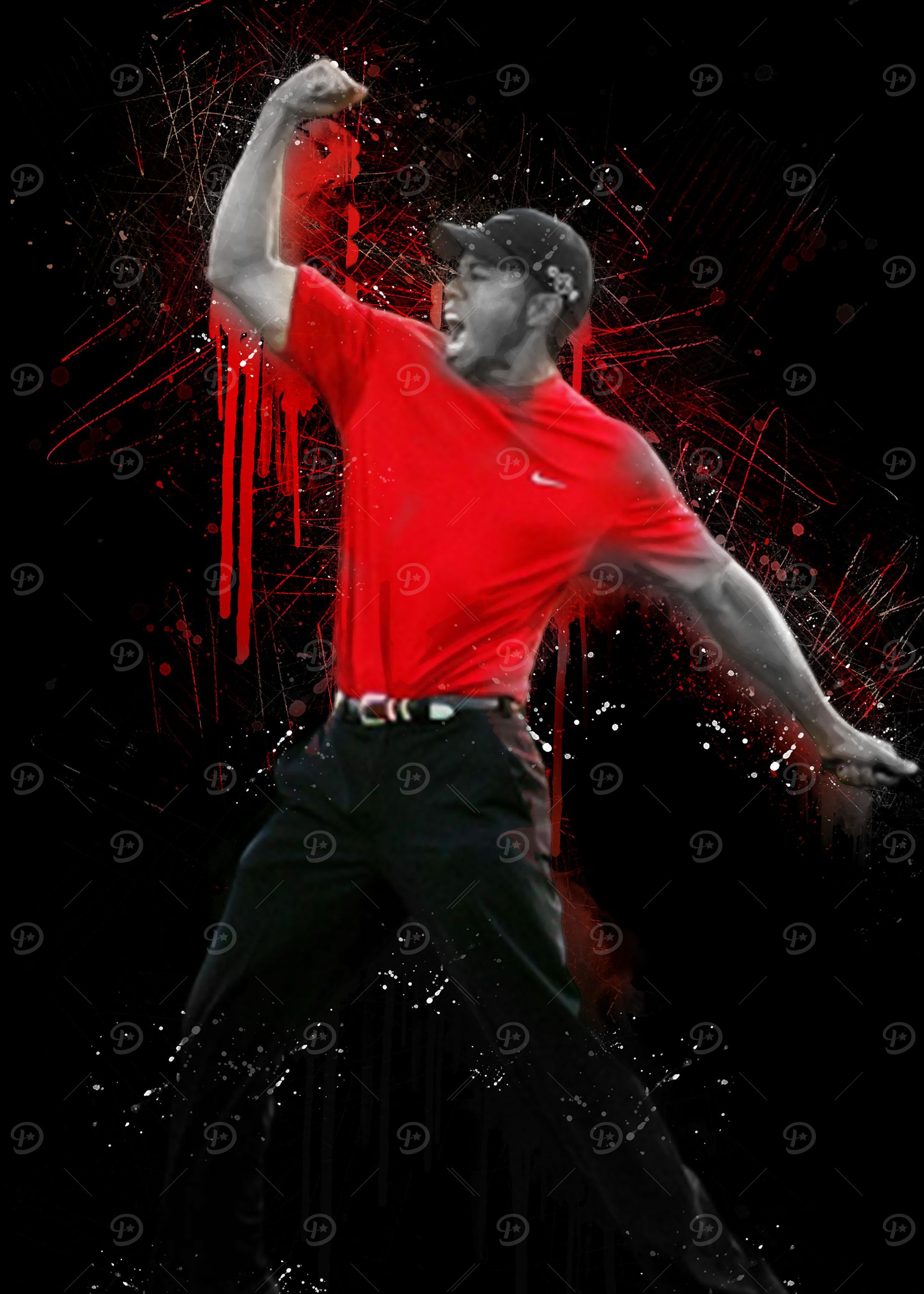 Tiger Woods