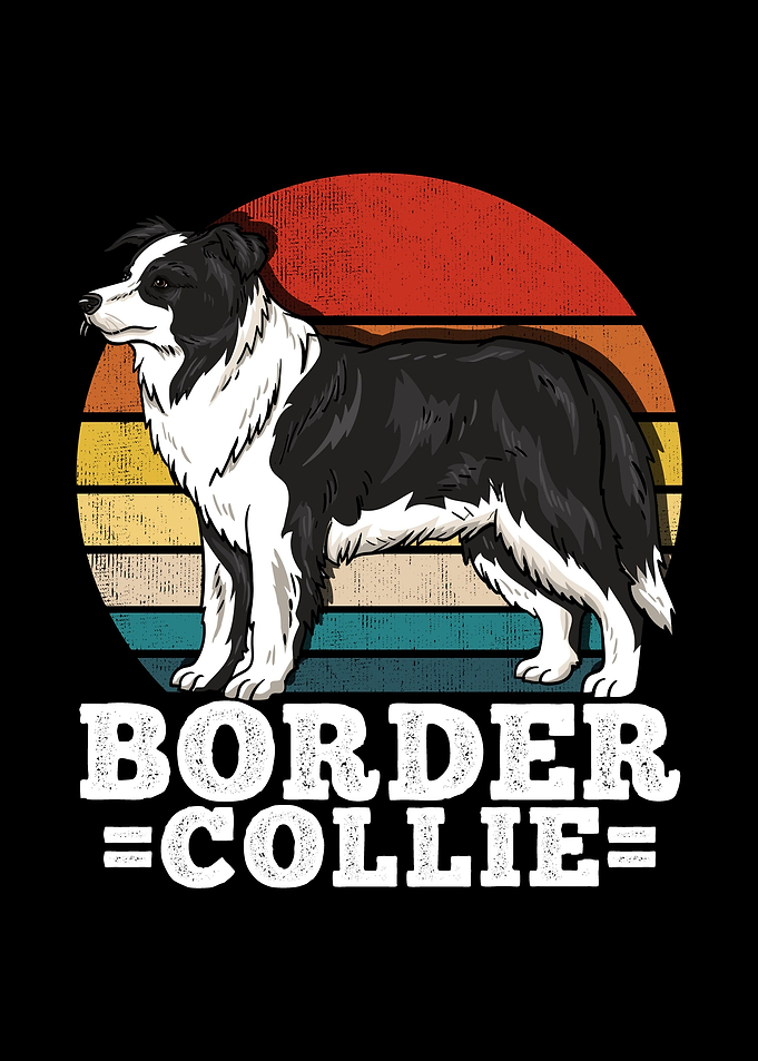 Border Collie Dog Lover Re