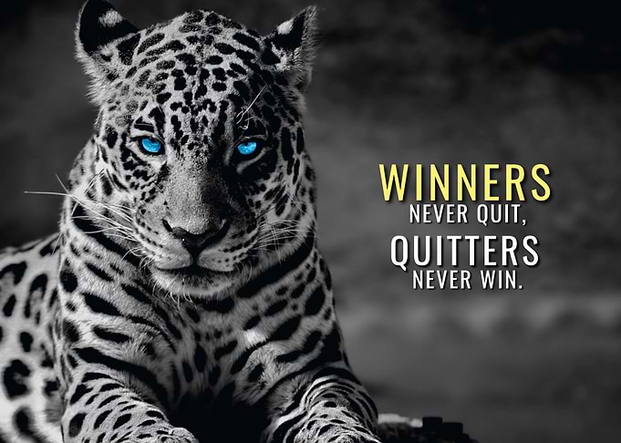 Winners vs Quitters