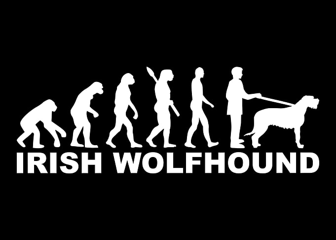 Irish Wolfhound