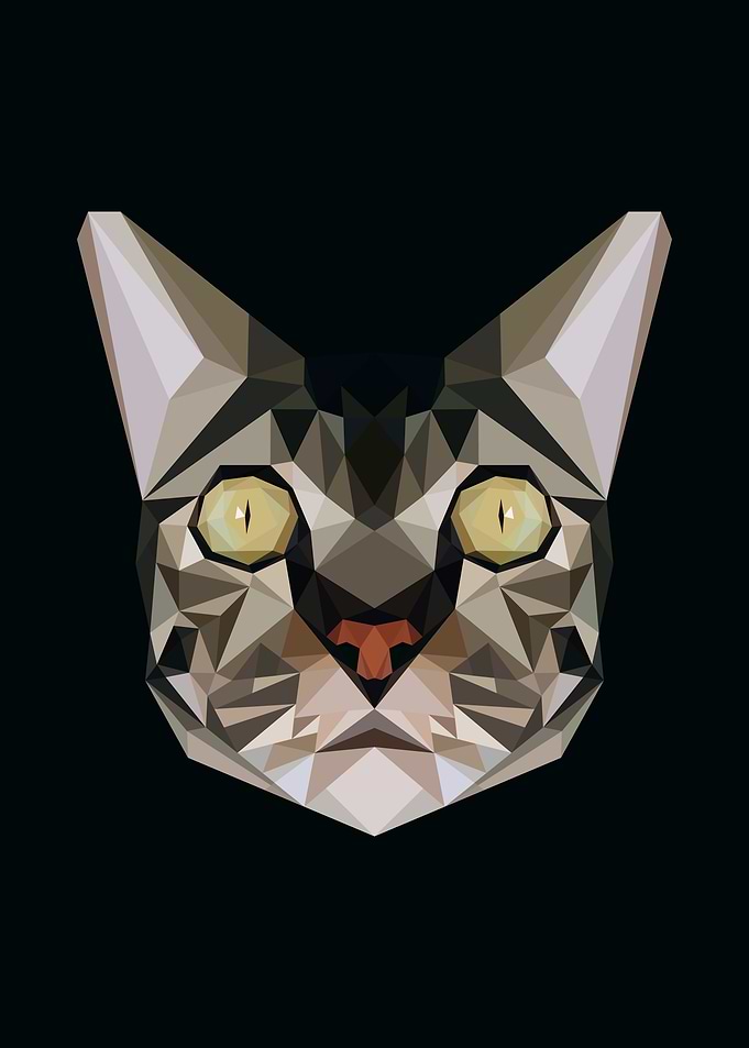 Cat in Lowpoly