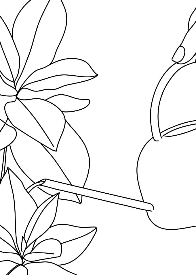 The watering can