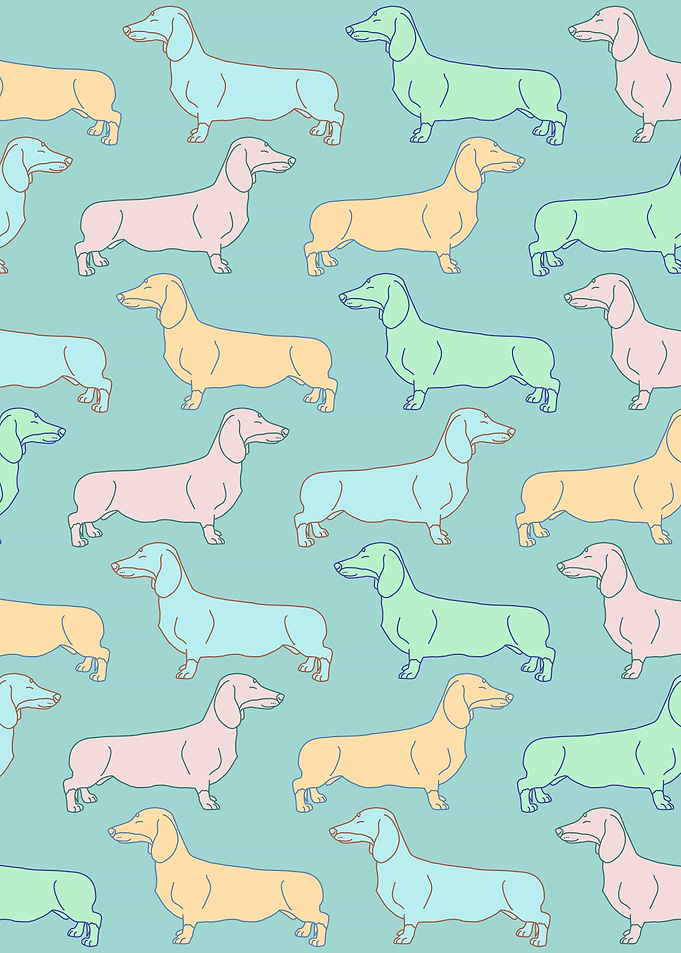 Colorful dachshund dogs