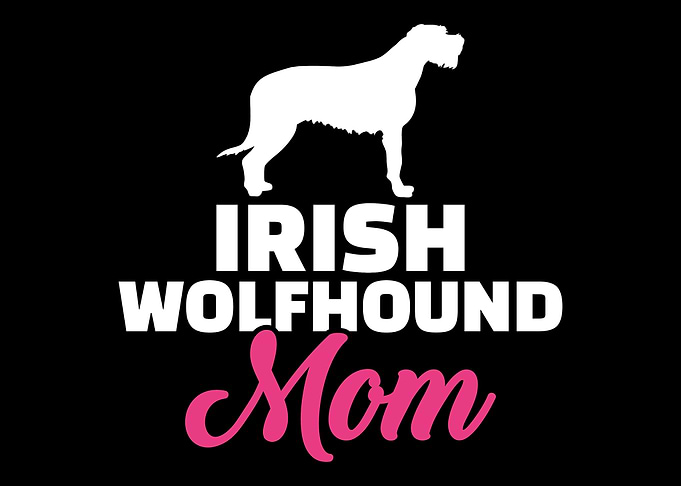 Irish Wolfhound