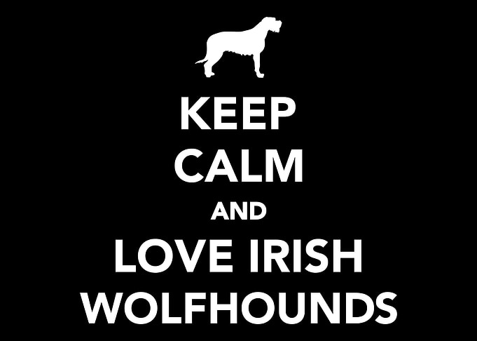 Irish Wolfhound