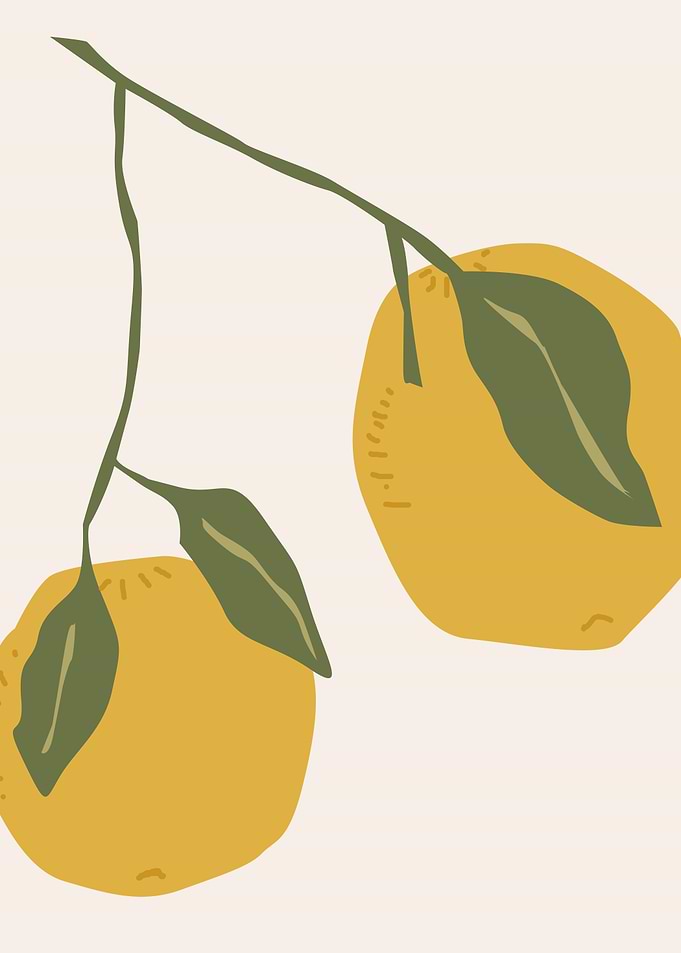 Boho Oranges