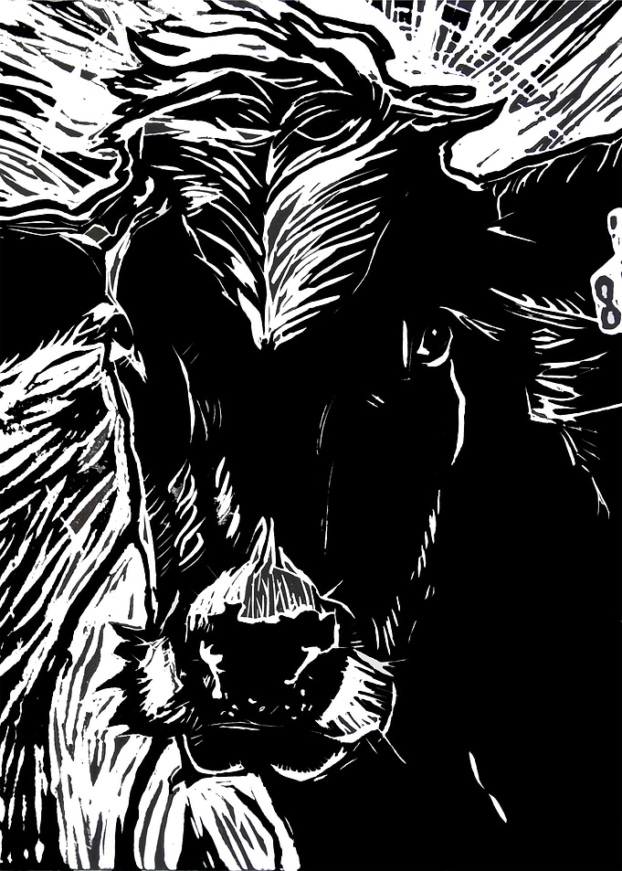 Dairy Industry