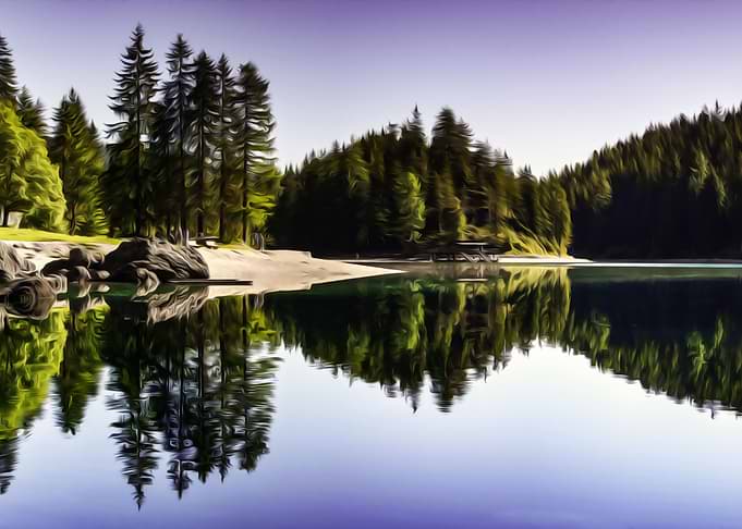 World Reflected