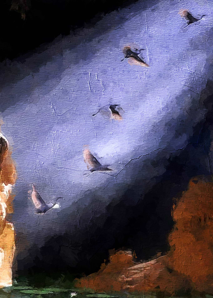 In Flight