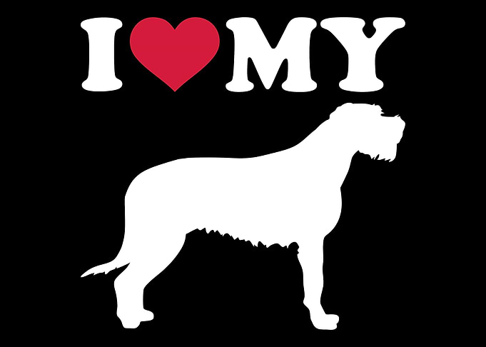 Irish Wolfhound
