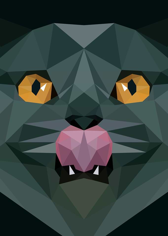 Black Cat in Lowpoly