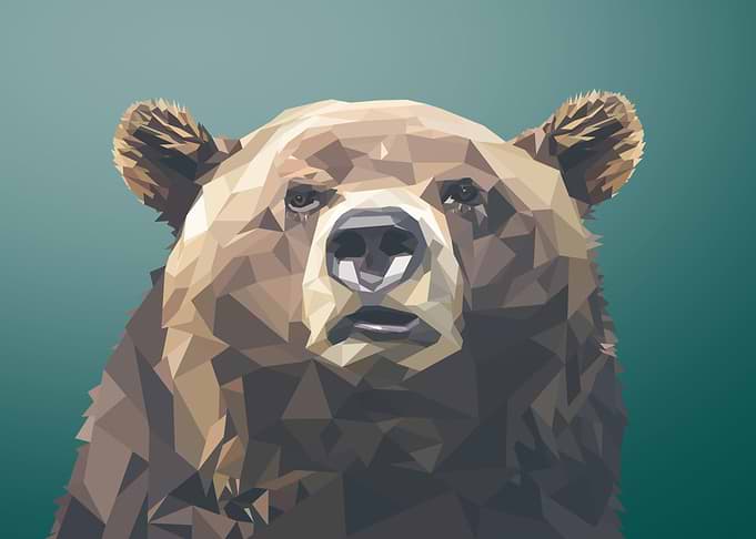 Polygon bear