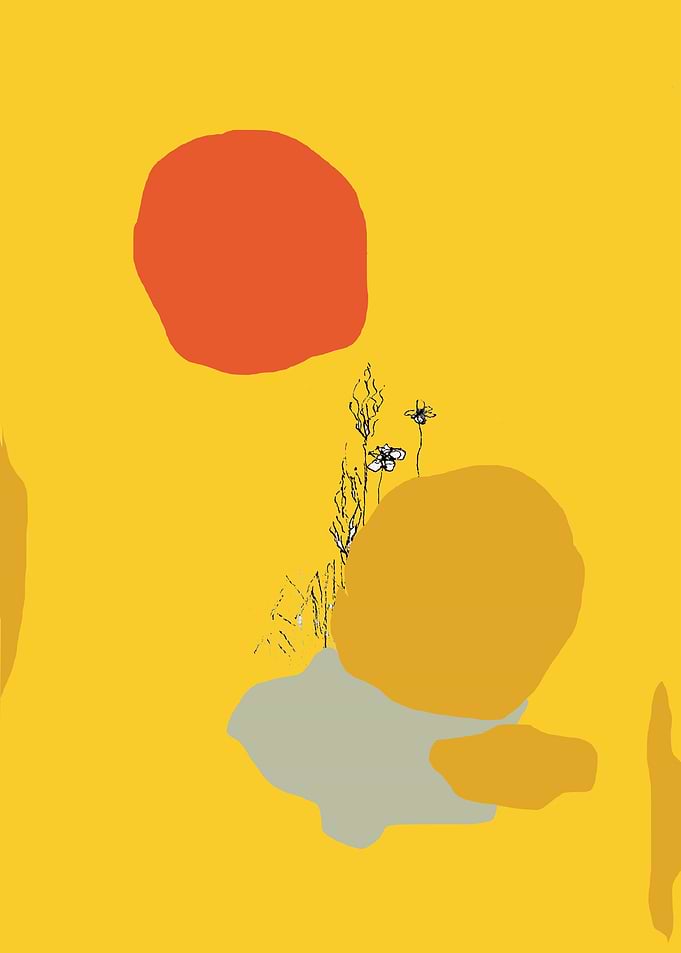 Flowers in the Sun
