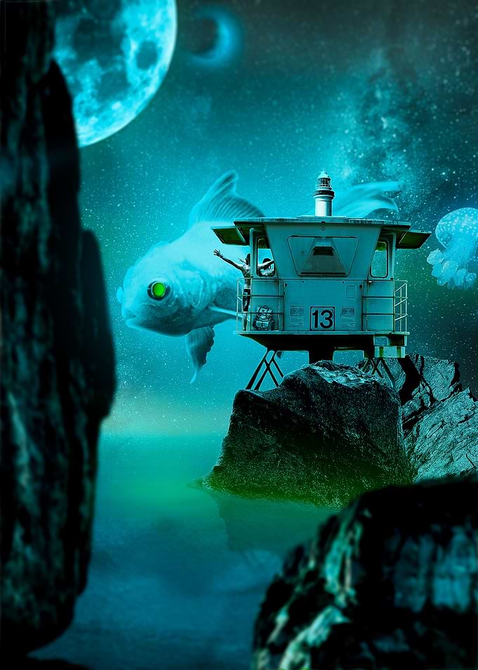 Night Fisher