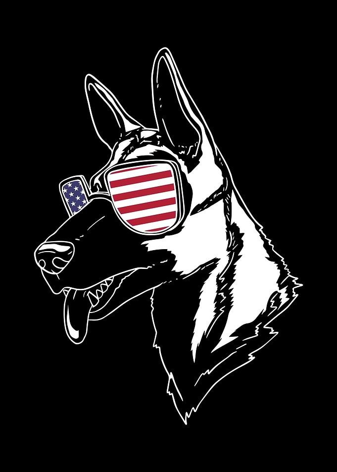 Belgian Malinois Dog USA F