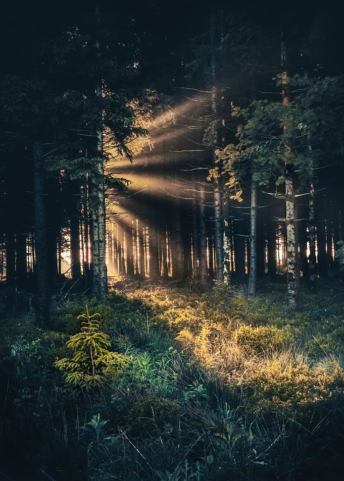 Glimmer of hope