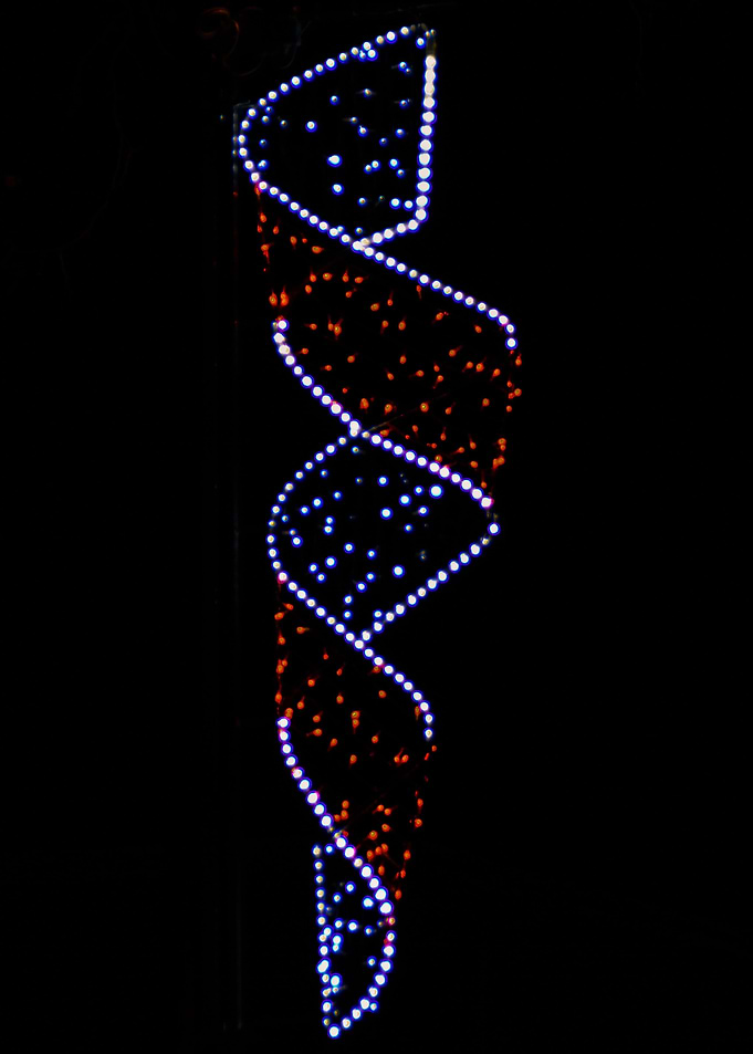 White and red ribbon