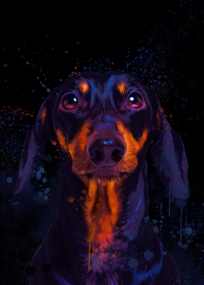 Daschund