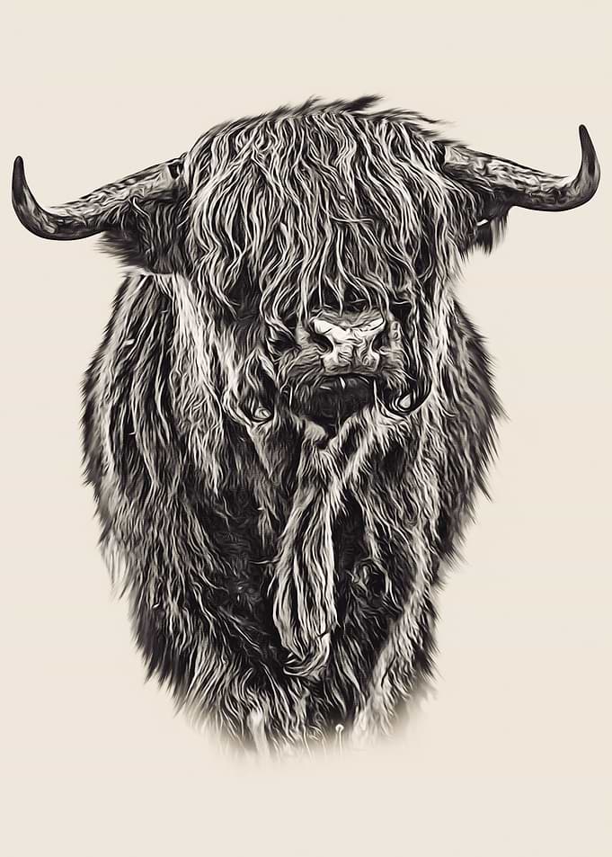 Vintage Higland Cow