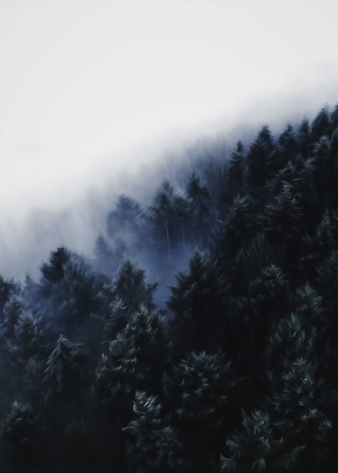 Fog